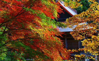 石道寺の画像