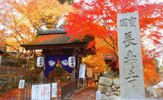 長寿寺の画像