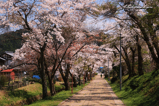 徳源院の画像