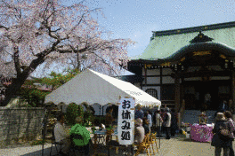 圓頓寺の画像