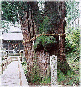 栢野寺の画像