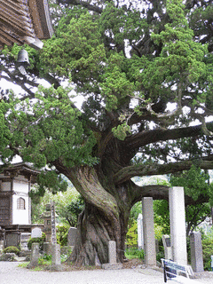 城願寺の画像