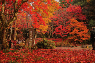 意足寺の画像