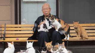 御誕生寺の画像