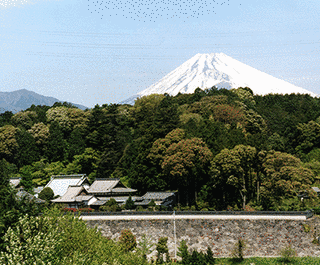 龍澤寺の画像
