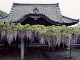 梅岳寺の画像