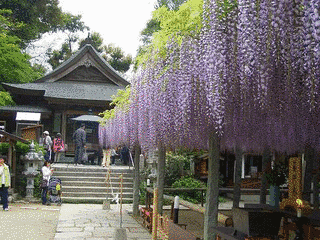 武蔵寺の画像