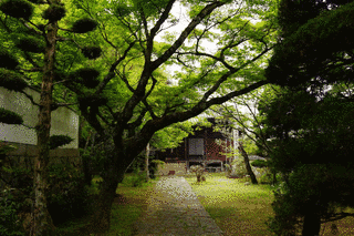 普門院の画像