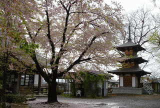 恵隆寺の画像