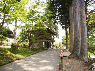 補陀寺の画像