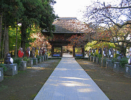 茂林寺の画像