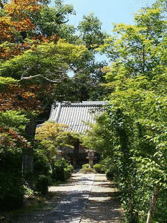 大御堂の画像