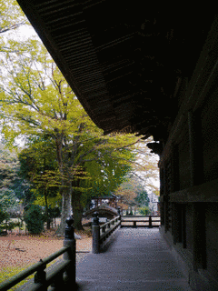 逢善寺の画像