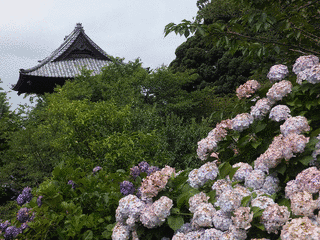楽法寺の画像