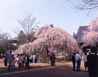六地蔵寺の画像