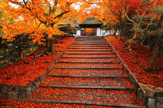 安楽寺の画像