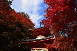 威徳寺の画像