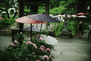 遠照寺の画像