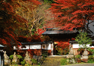 乾徳寺の画像