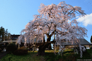 建福寺の画像