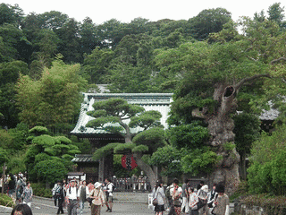 長谷寺の画像