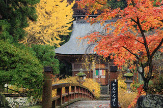津金寺の画像