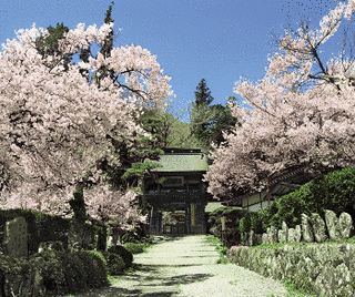 徳音寺の画像
