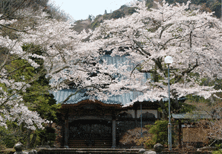 青森県の寺の画像