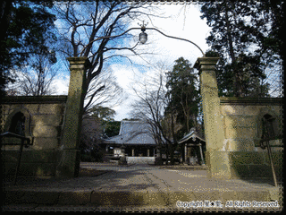 光長寺の画像