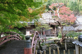 大澤寺の画像