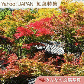 大洞院の画像