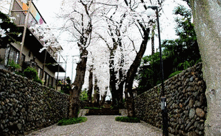 東雲寺の画像