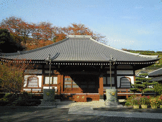 養源寺の画像