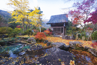 弘法の滝護国寺の画像