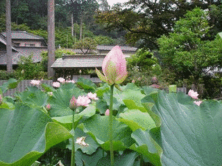 定福寺の画像