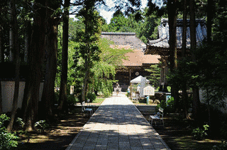 土佐国分寺の画像