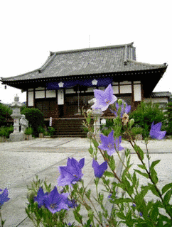 多宝寺の画像