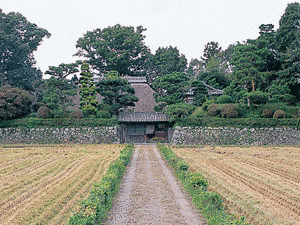 沢村保祐の画像