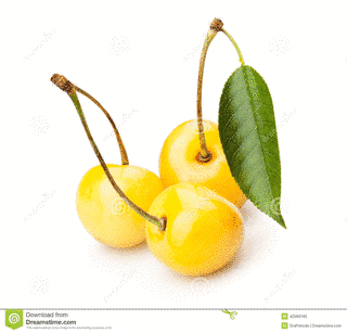 YELLOW CHERRYの画像