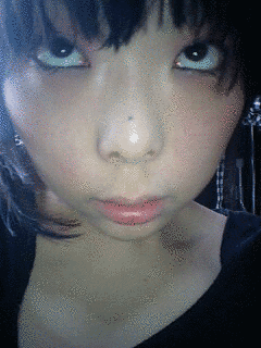 伝書鳩の画像