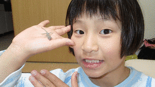 やもりの画像