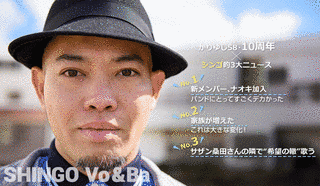 かりゆし58の画像