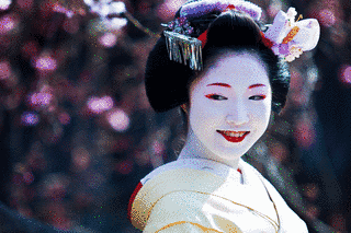 THE SAKURAの画像