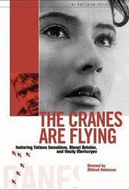 THE CRANE FLYの画像