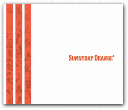 SUNNYDAYORANGE'の画像