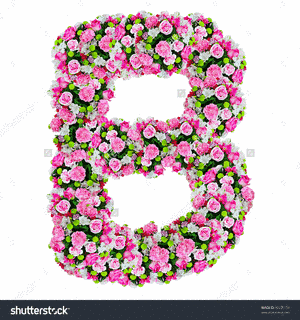 B-FLOWERの画像