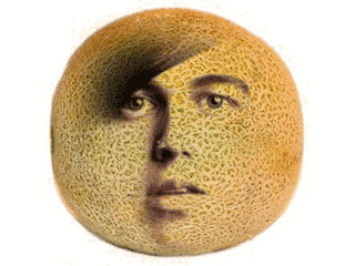 MELONの画像