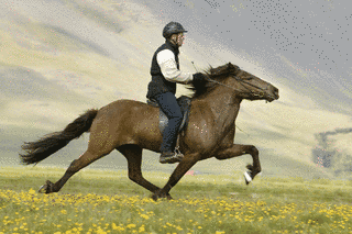 RIDINGの画像