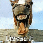 LIEVASの画像