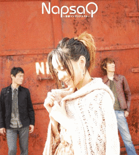 NAPSAQの画像